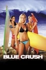 Голубая волна (2002) скачать бесплатно в хорошем качестве без регистрации и смс 1080p