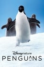 Пингвины (2019) трейлер фильма в хорошем качестве 1080p