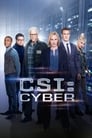 CSI: Киберпространство (2015)