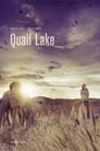 Смотреть «Озеро Квейл» онлайн фильм в хорошем качестве