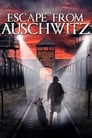 Побег из Освенцима (2020)