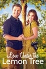 Любовь под лимонным деревом (2022) трейлер фильма в хорошем качестве 1080p