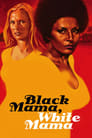 Черная мама, белая мама (1973) кадры фильма смотреть онлайн в хорошем качестве