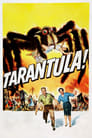 Тарантул (1955) кадры фильма смотреть онлайн в хорошем качестве