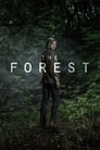 Лес (2017) кадры фильма смотреть онлайн в хорошем качестве