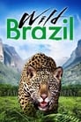 Дикая Бразилия (2014) трейлер фильма в хорошем качестве 1080p
