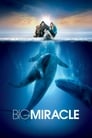 Все любят китов (2012) трейлер фильма в хорошем качестве 1080p