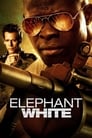 Белый слон (2010)