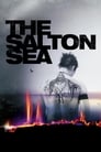 Смотреть «Море Солтона» онлайн фильм в хорошем качестве