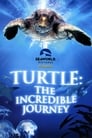 Большое путешествие вглубь океанов: Возвращение (2009) кадры фильма смотреть онлайн в хорошем качестве