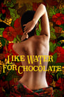 Как вода для шоколада (1992)