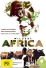 В дебрях Африки (2010)