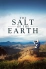 Соль Земли (2014) кадры фильма смотреть онлайн в хорошем качестве