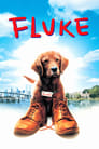 Флюк / Пёс по-прозвищу Счастливчик (1995) кадры фильма смотреть онлайн в хорошем качестве