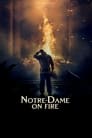 Смотреть «Нотр-Дам в огне» онлайн фильм в хорошем качестве