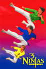 Три ниндзя наносят ответный удар (1994) трейлер фильма в хорошем качестве 1080p
