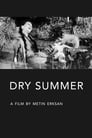 Засушливое лето (1963)