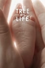 Древо жизни (2010) трейлер фильма в хорошем качестве 1080p