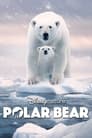 Полярный медведь (2022) трейлер фильма в хорошем качестве 1080p
