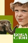 Смотреть «Боба и слон» онлайн фильм в хорошем качестве
