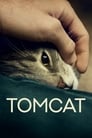 Смотреть «Кот» онлайн фильм в хорошем качестве