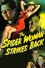Возвращение женщины-паука (1946) скачать бесплатно в хорошем качестве без регистрации и смс 1080p