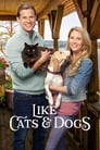 Смотреть «Как кошка с собакой» онлайн фильм в хорошем качестве