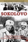 Смотреть «Соколово» онлайн фильм в хорошем качестве