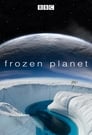 Смотреть «BBC: Замерзшая планета» онлайн сериал в хорошем качестве