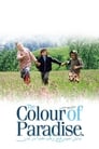 Цвет рая (1999) кадры фильма смотреть онлайн в хорошем качестве