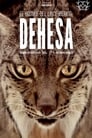 Дехеса: Лес пиренейской рыси (2020)