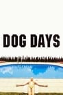 Собачья жара (2001) скачать бесплатно в хорошем качестве без регистрации и смс 1080p