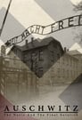 Смотреть «Аушвиц: Взгляд на нацизм изнутри» онлайн фильм в хорошем качестве