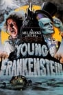 Молодой Франкенштейн (1974) кадры фильма смотреть онлайн в хорошем качестве