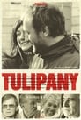 Смотреть «Тюльпаны» онлайн фильм в хорошем качестве