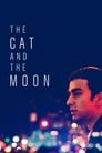 Смотреть «Кошка и луна» онлайн фильм в хорошем качестве