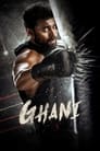 Смотреть «Гхани» онлайн фильм в хорошем качестве