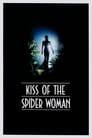 Поцелуй женщины-паука (1985) кадры фильма смотреть онлайн в хорошем качестве