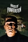 Дом Франкенштейна (1944) скачать бесплатно в хорошем качестве без регистрации и смс 1080p